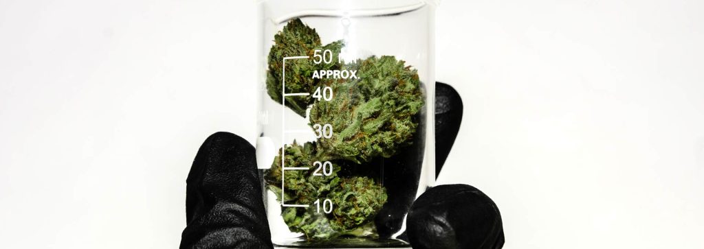holding cannabis in a jar