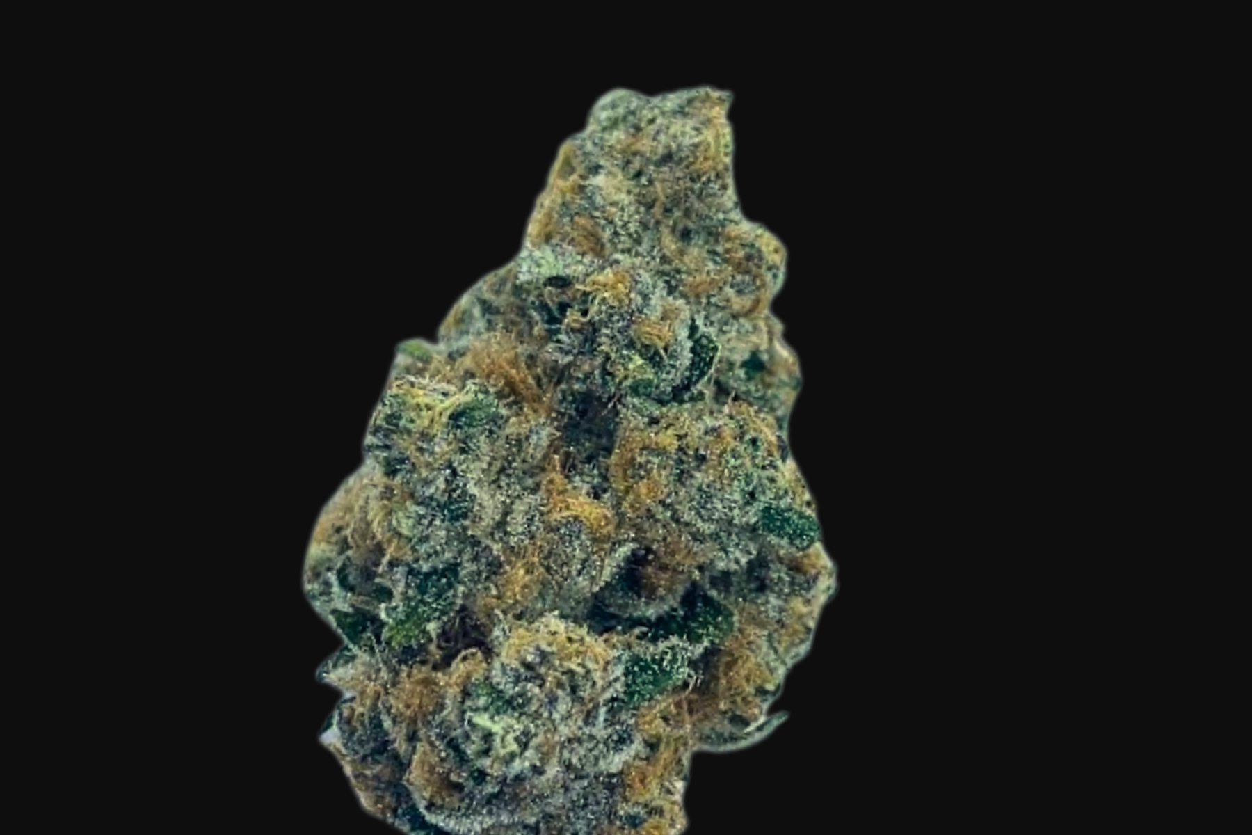 Super Boof • Root & Bloom