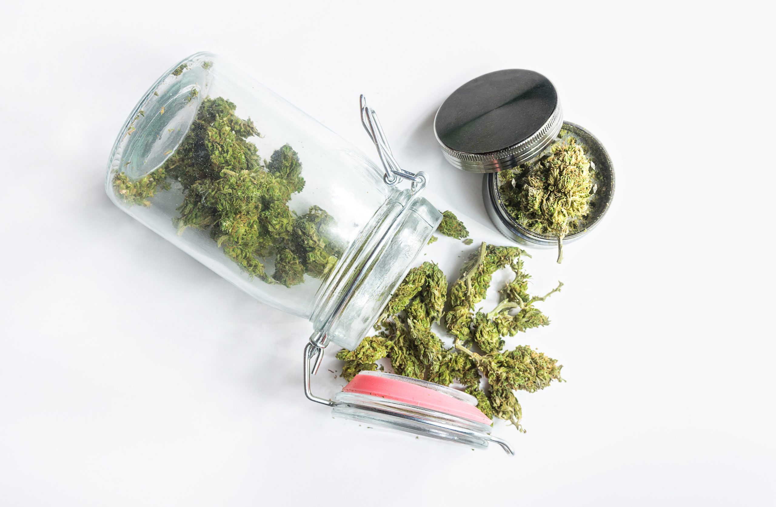 Homegrown Marijuana in a mason jar buds and grinder on isolated on white, Medical Cannabis concept