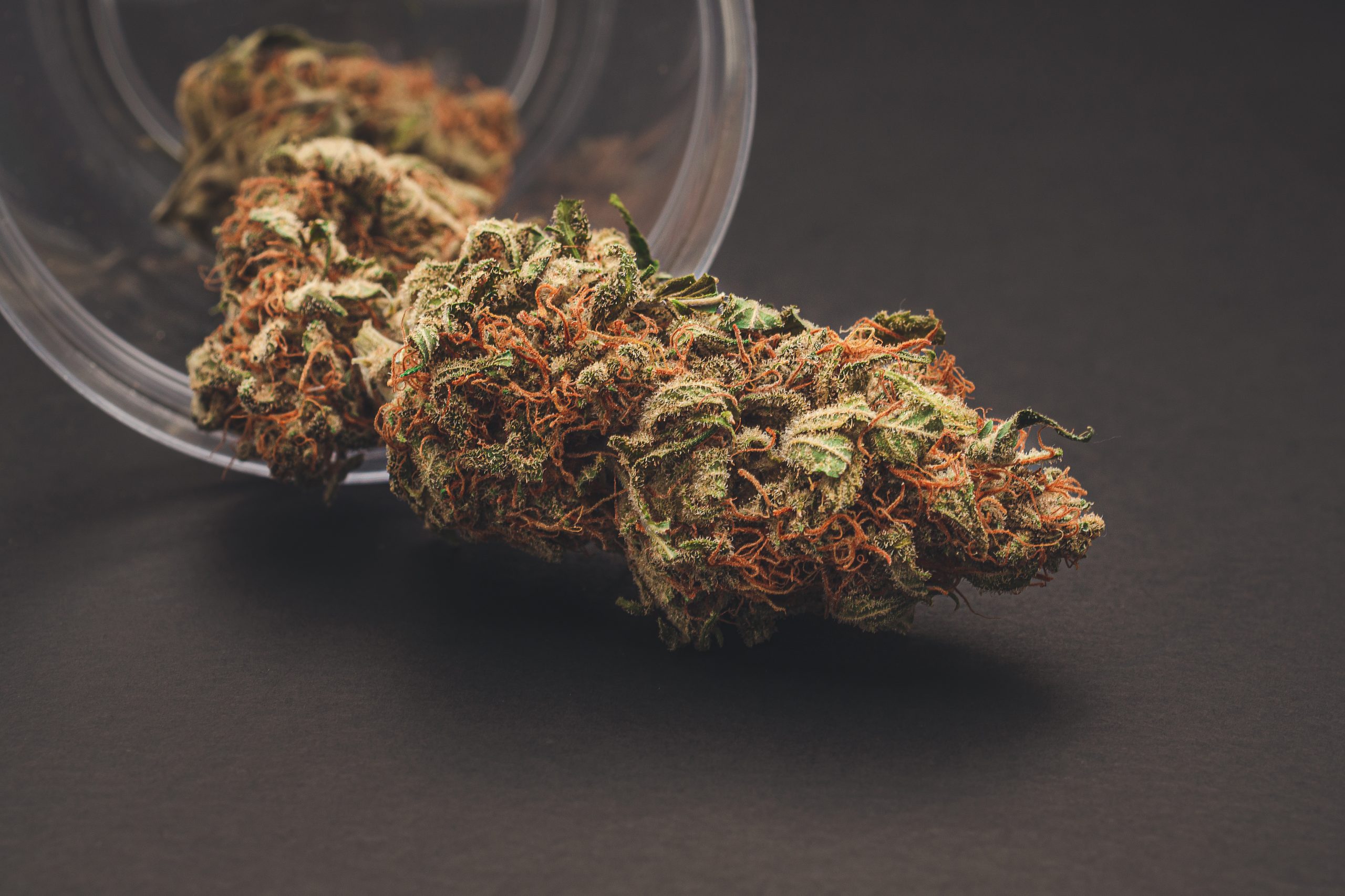 Dry cannabis buds outside of a jar glass on a table with a black background. Close-up of medical marijuana flower. ​Concept of marijuana plantation for medical and business